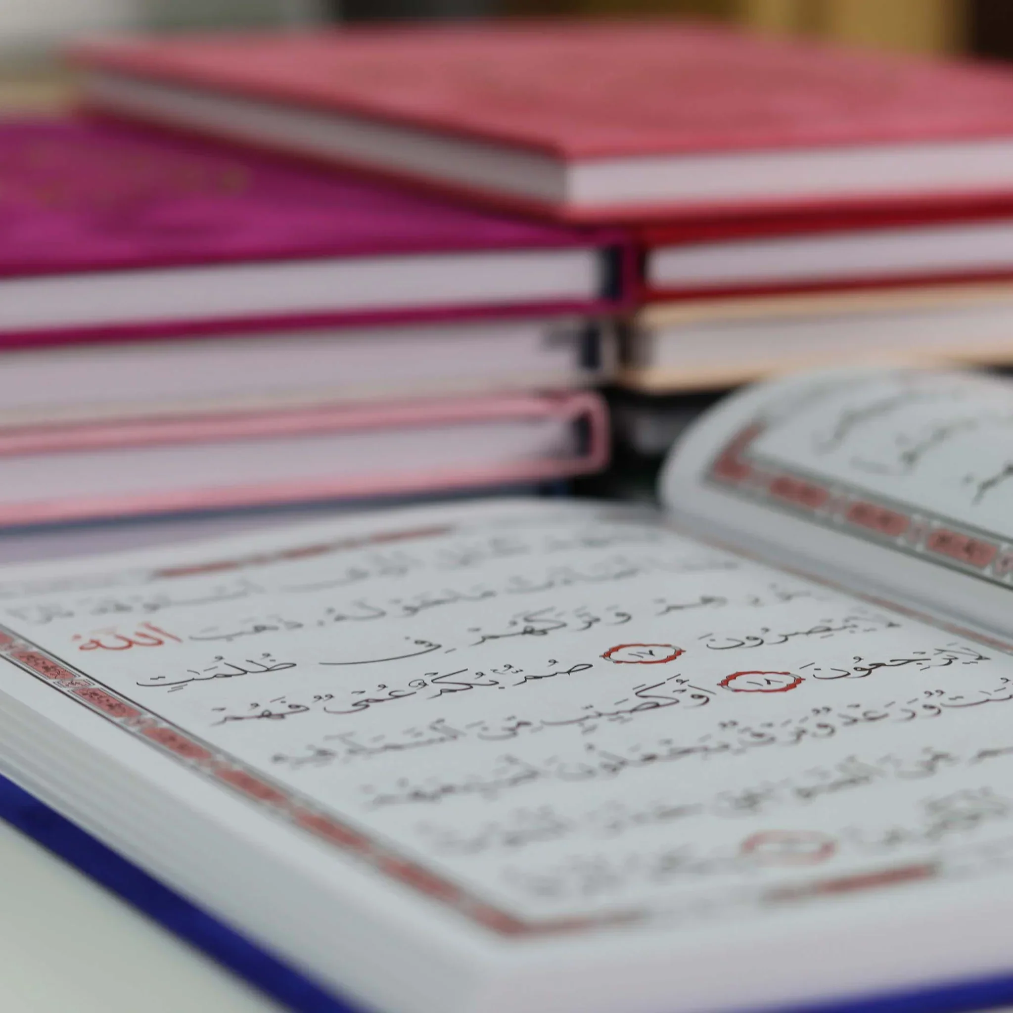صورة المنتج 16