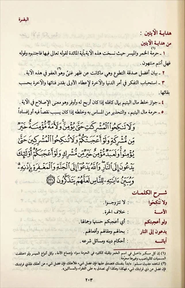 صورة المنتج 2