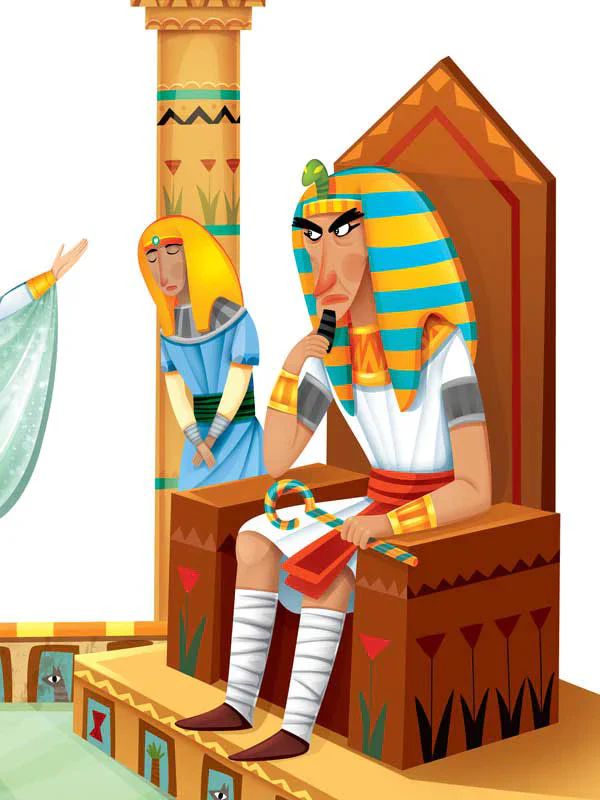 صورة المنتج 17