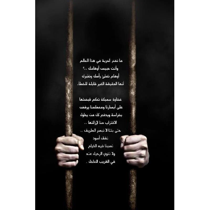 صورة مصغرة 2