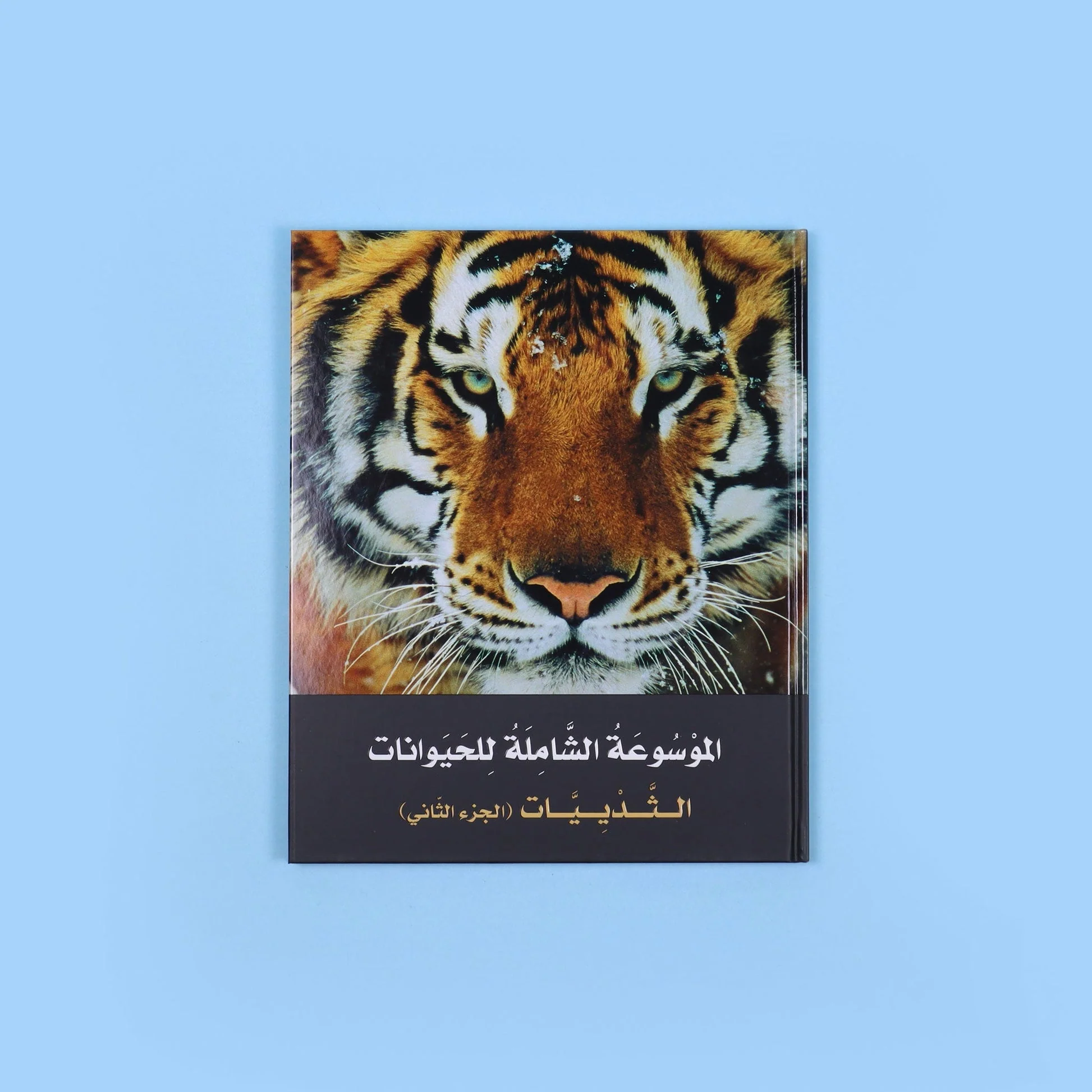 صورة المنتج 10
