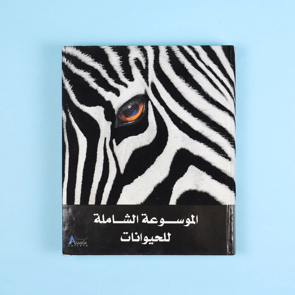 صورة المنتج 2