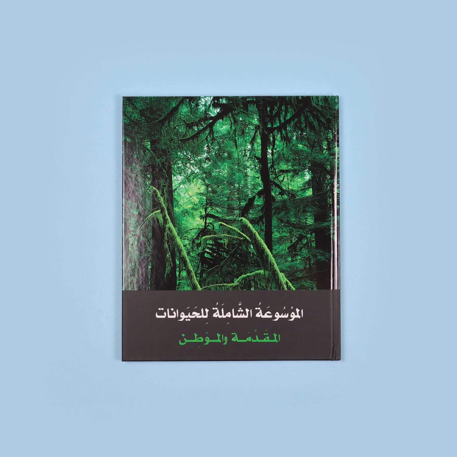 صورة المنتج 4