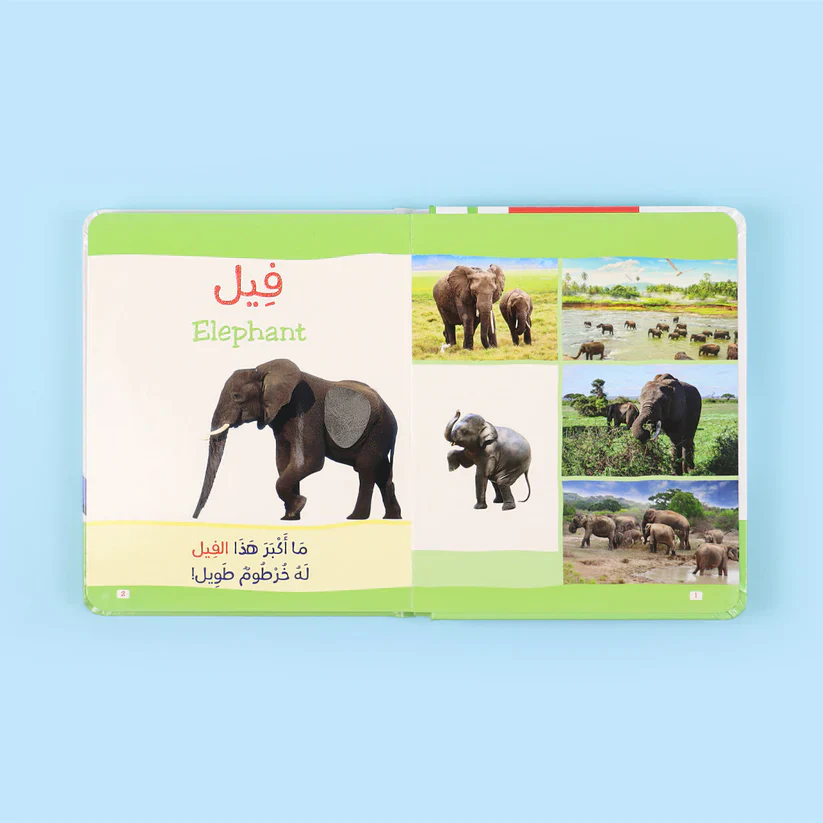 صورة المنتج 3
