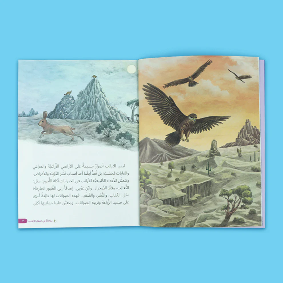 صورة المنتج 5