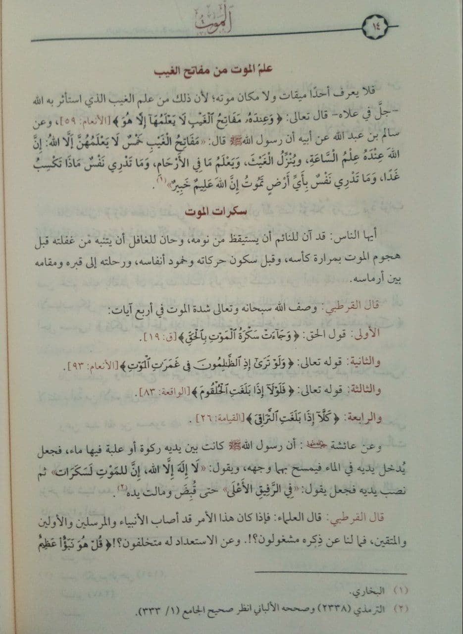 صورة المنتج 2