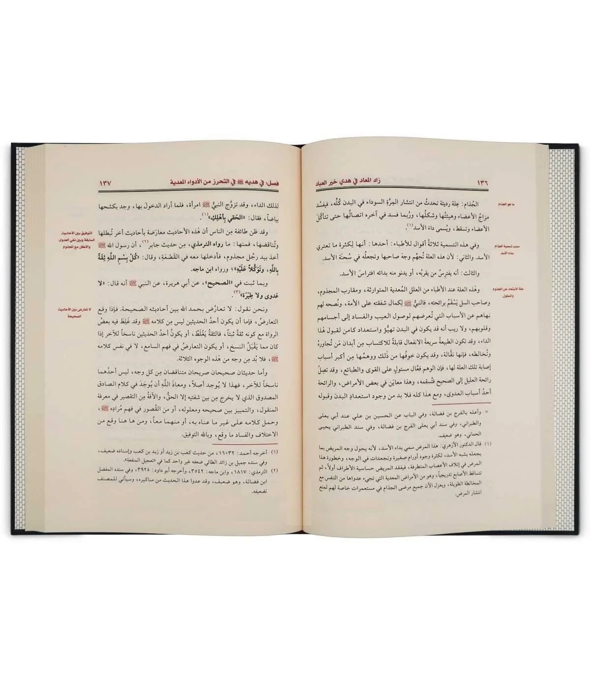 صورة المنتج 8