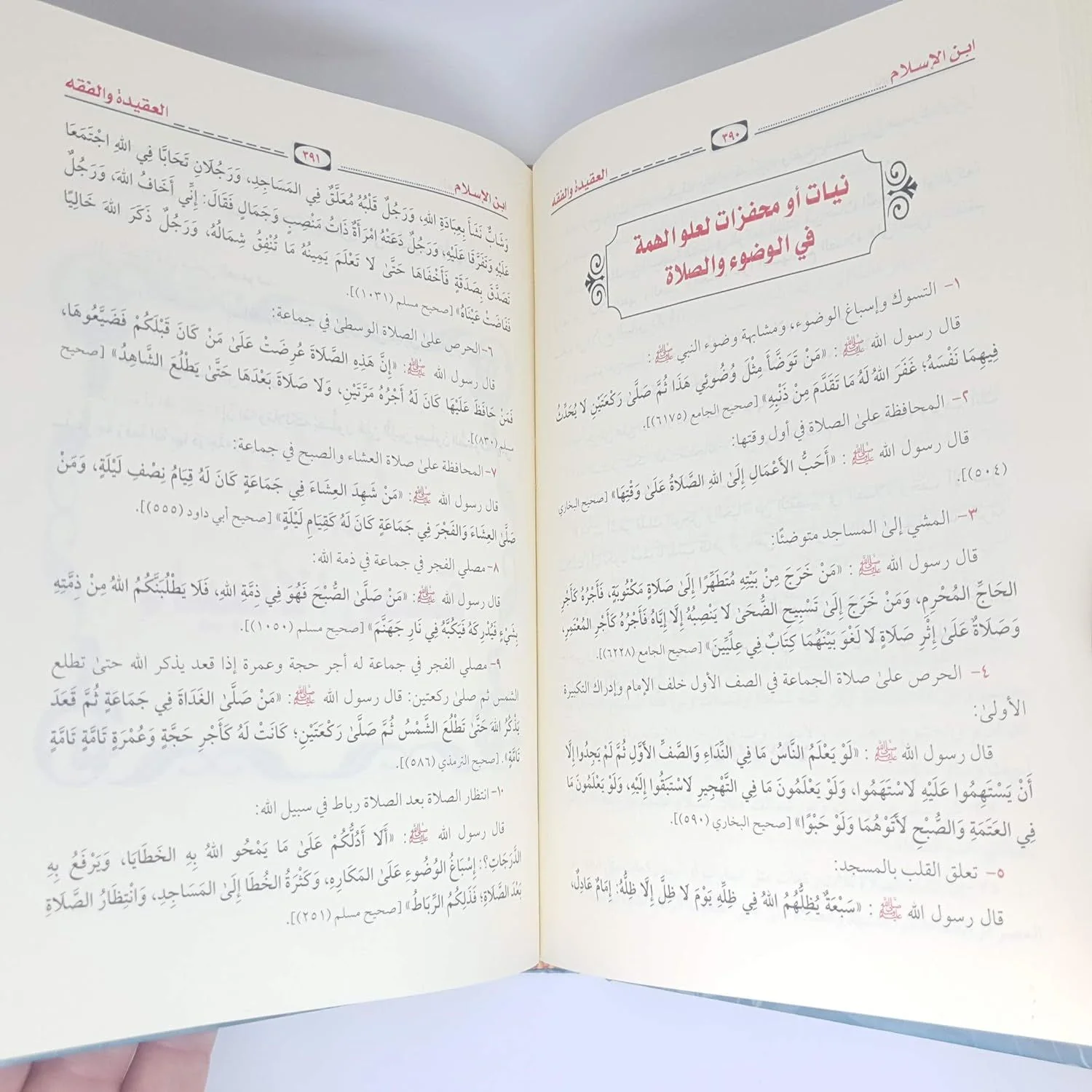 صورة المنتج 4