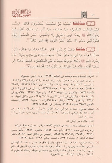 صورة المنتج 5