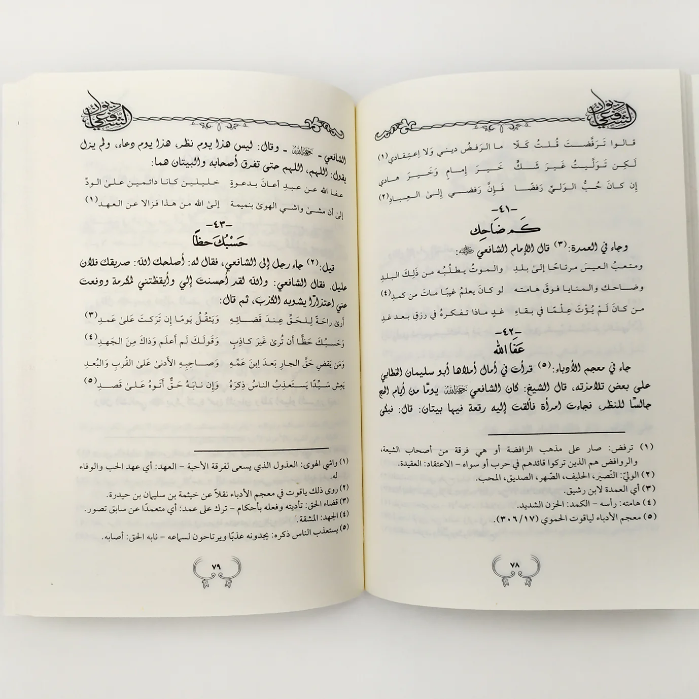 صورة المنتج 2