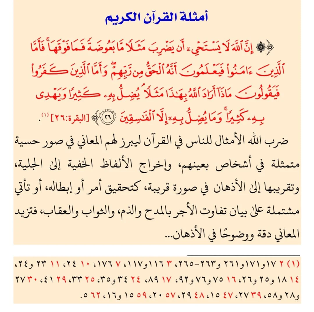 صورة المنتج 5