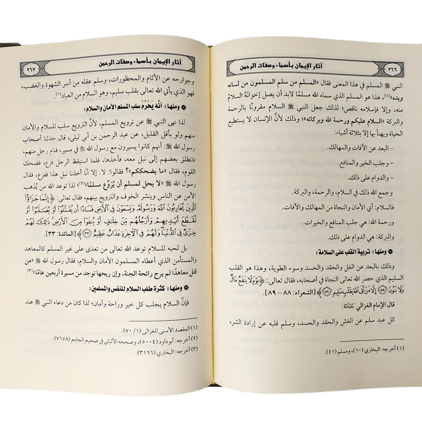 صورة المنتج 2