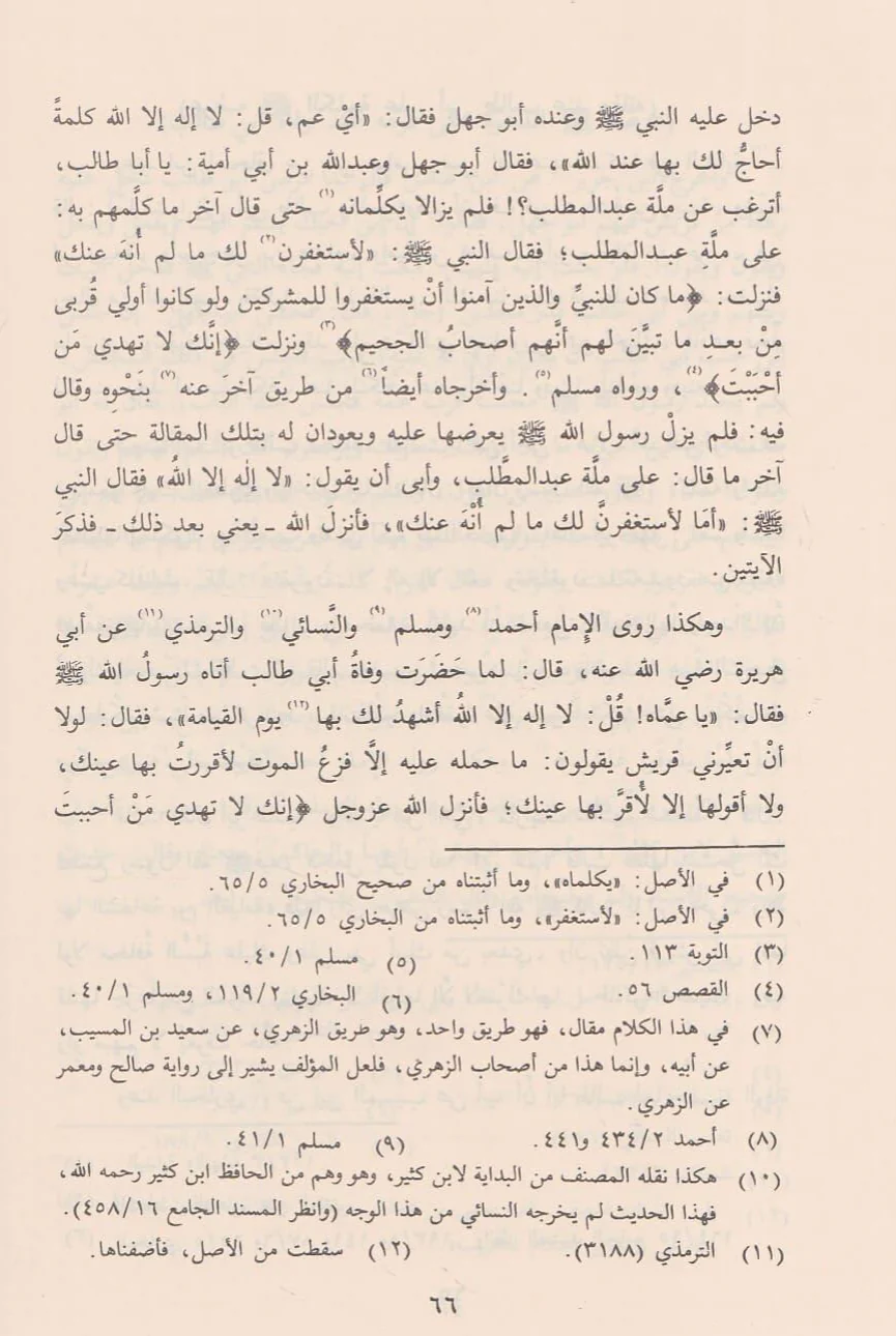صورة المنتج 3