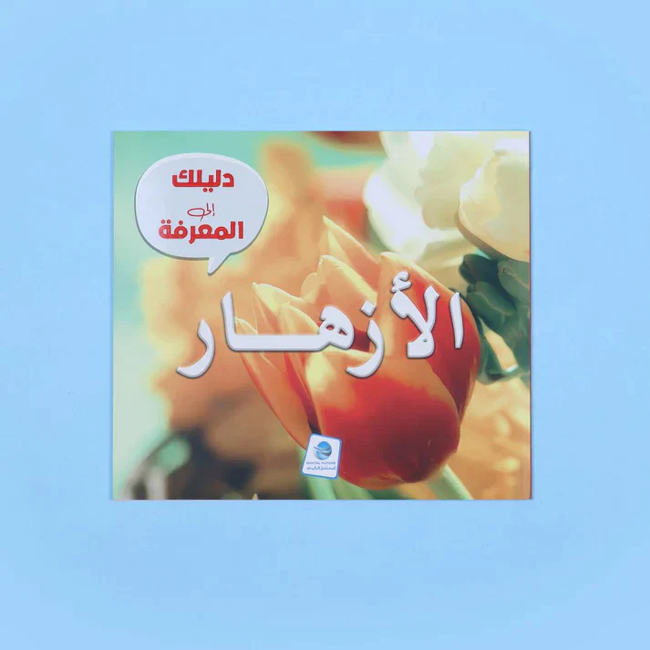 صورة المنتج 9