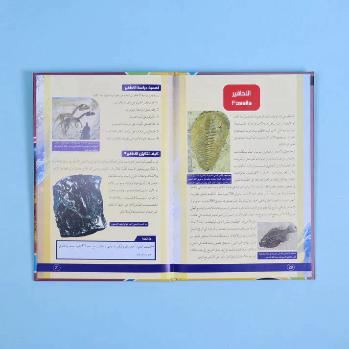 صورة المنتج 8