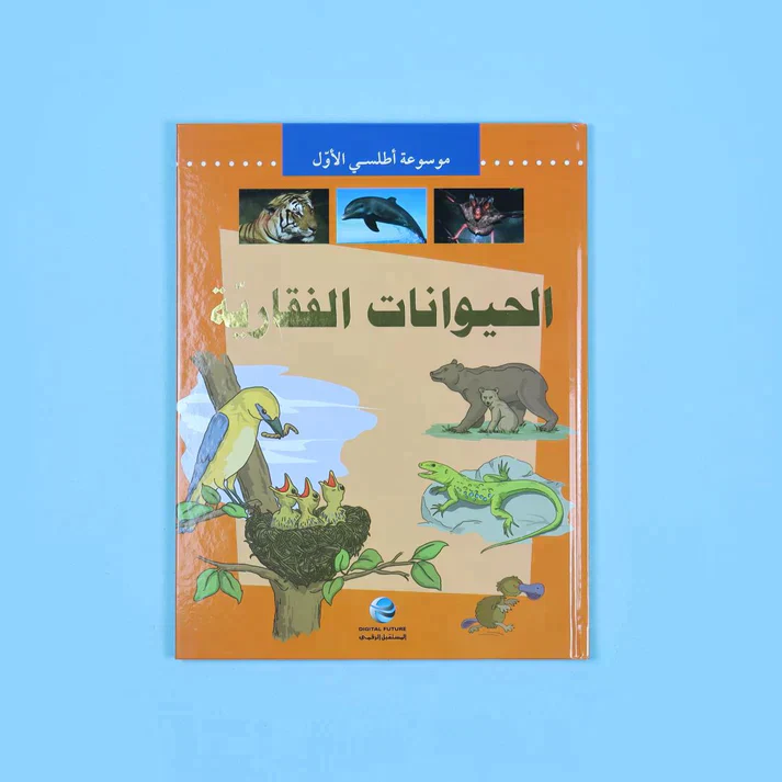 صورة المنتج 15