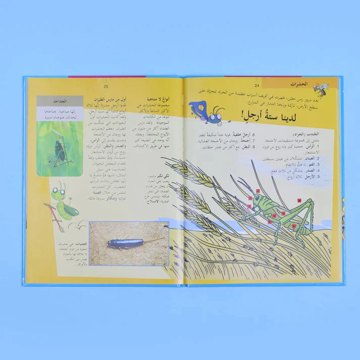 صورة المنتج 7