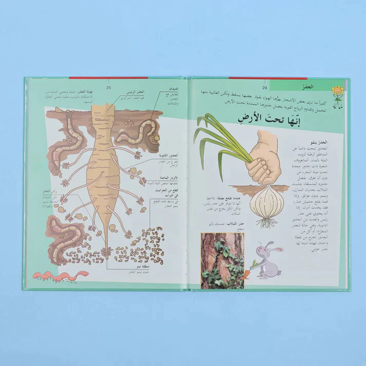 صورة المنتج 9