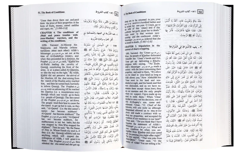 صورة المنتج 4
