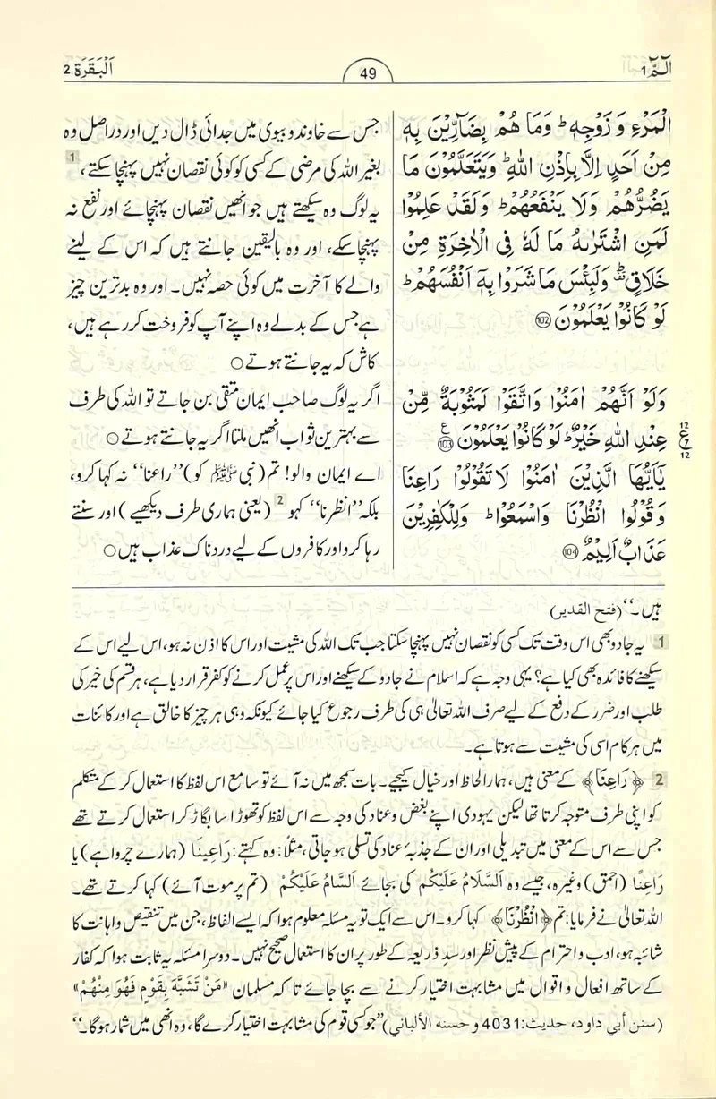صورة المنتج 2